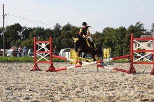 img_7367.jpg